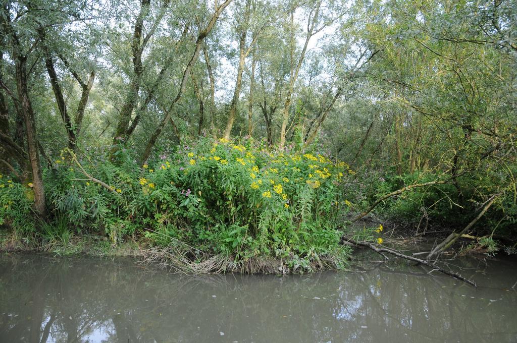 מלון Werkendam De Brabantse Biesbosch מראה חיצוני תמונה