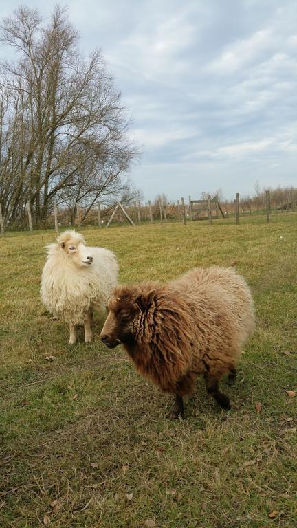 מלון Werkendam De Brabantse Biesbosch מראה חיצוני תמונה