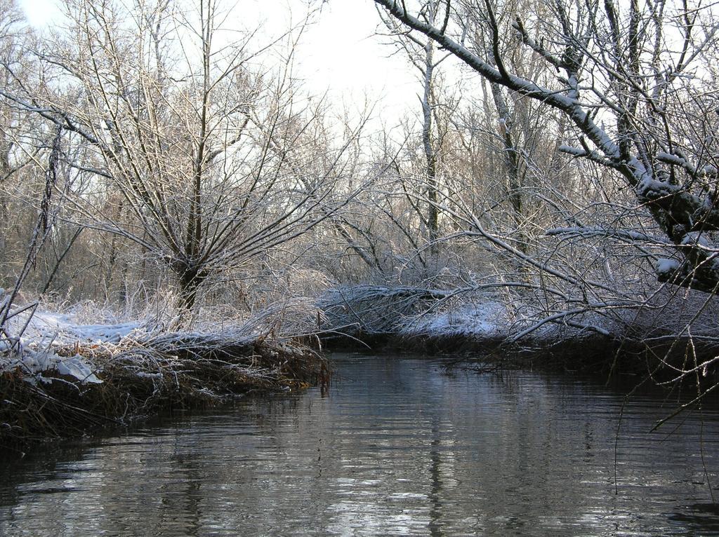 מלון Werkendam De Brabantse Biesbosch מראה חיצוני תמונה