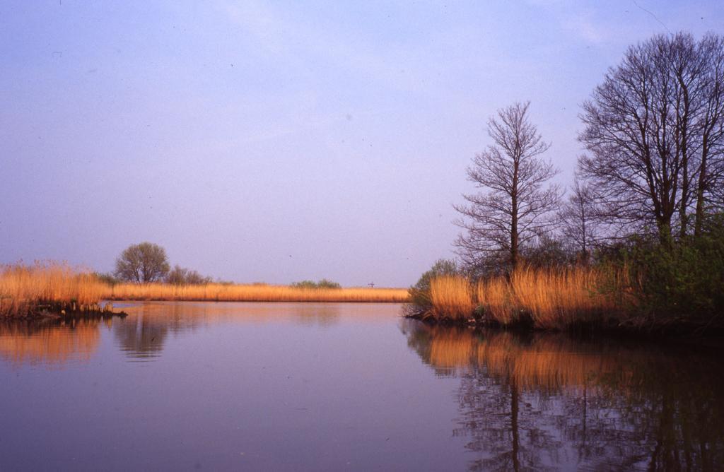 מלון Werkendam De Brabantse Biesbosch מראה חיצוני תמונה