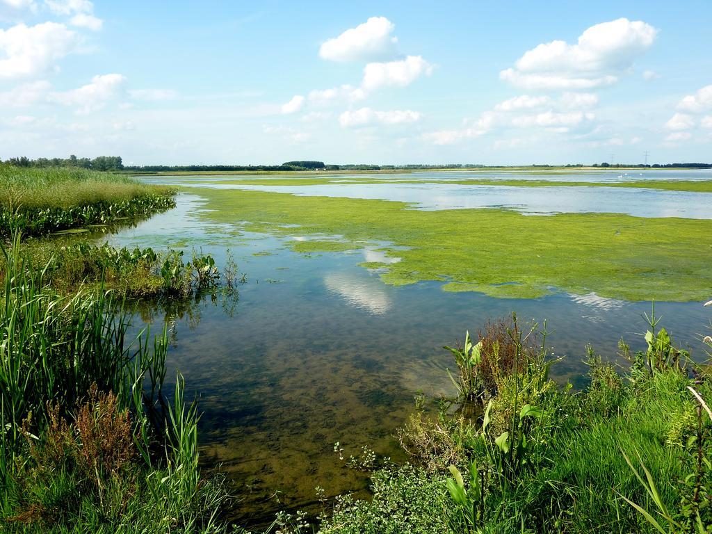 מלון Werkendam De Brabantse Biesbosch מראה חיצוני תמונה