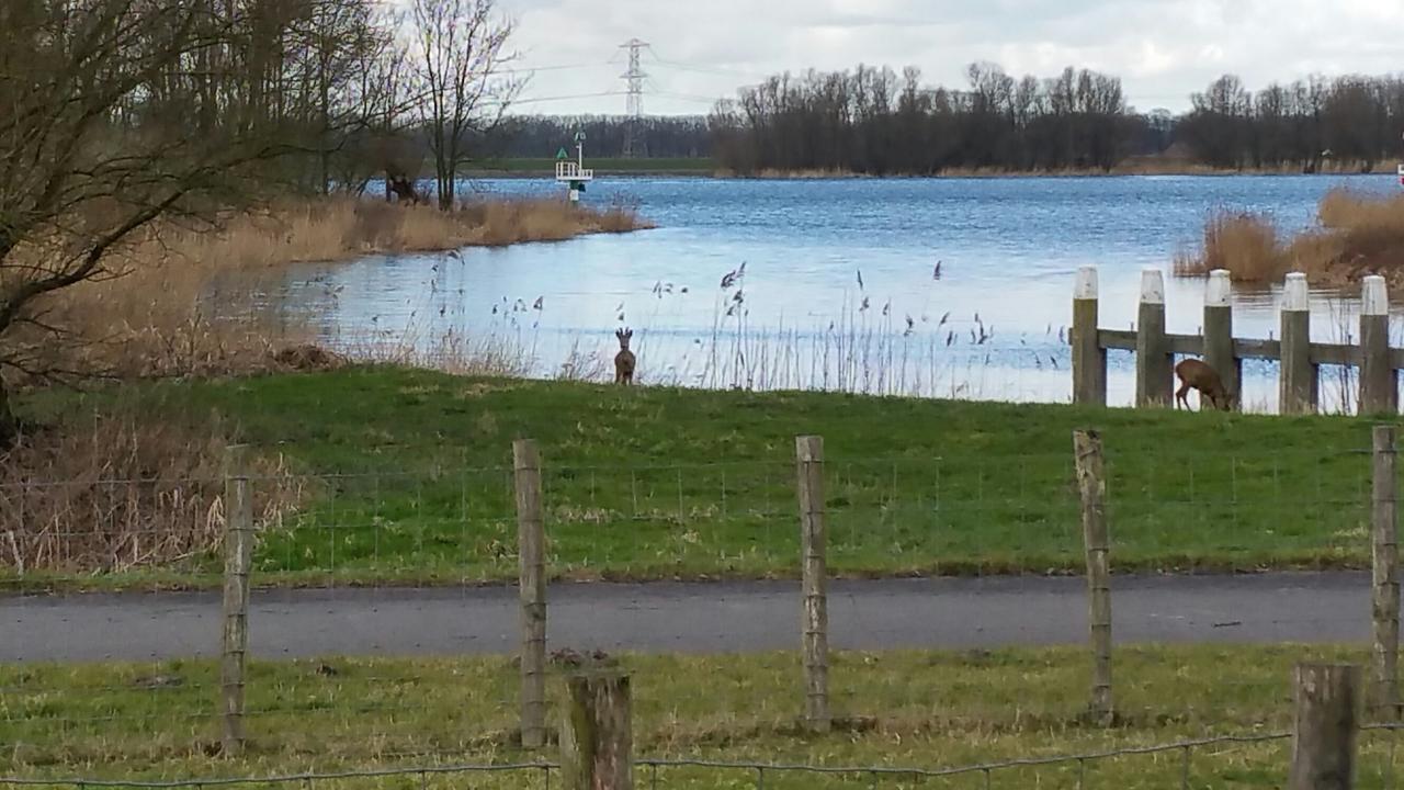 מלון Werkendam De Brabantse Biesbosch מראה חיצוני תמונה