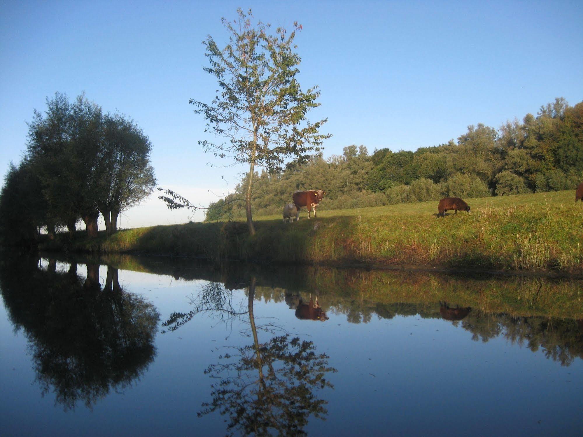 מלון Werkendam De Brabantse Biesbosch מראה חיצוני תמונה
