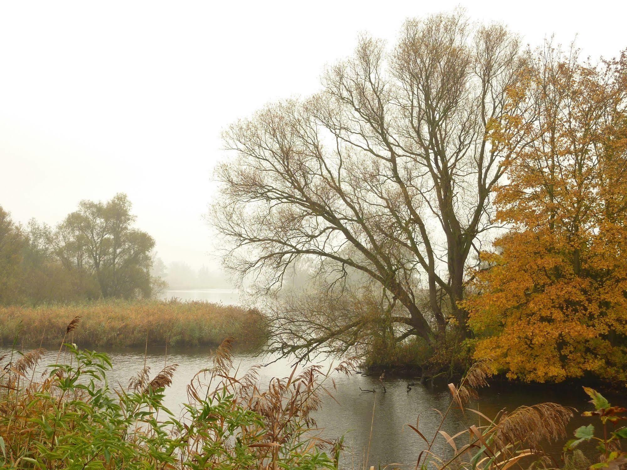 מלון Werkendam De Brabantse Biesbosch מראה חיצוני תמונה