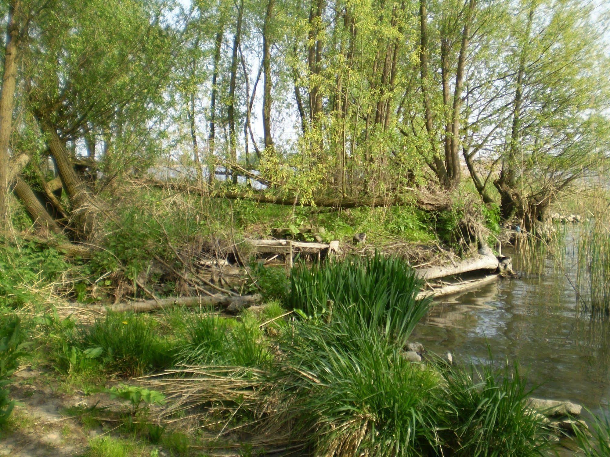 מלון Werkendam De Brabantse Biesbosch מראה חיצוני תמונה